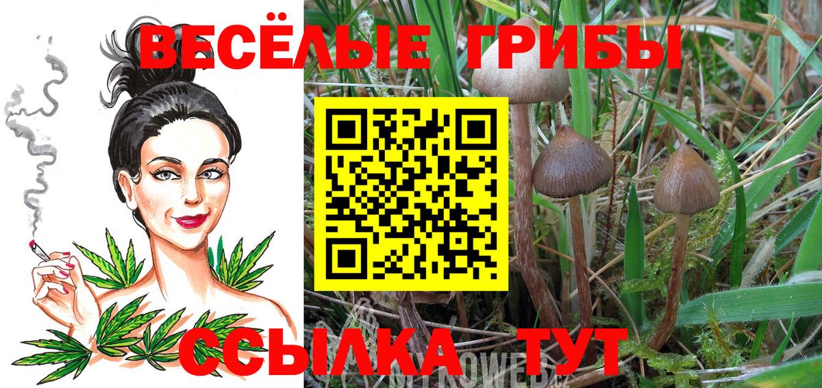 Миасс  Галлюциногенные грибы Magic Shrooms  Вход с VPN 